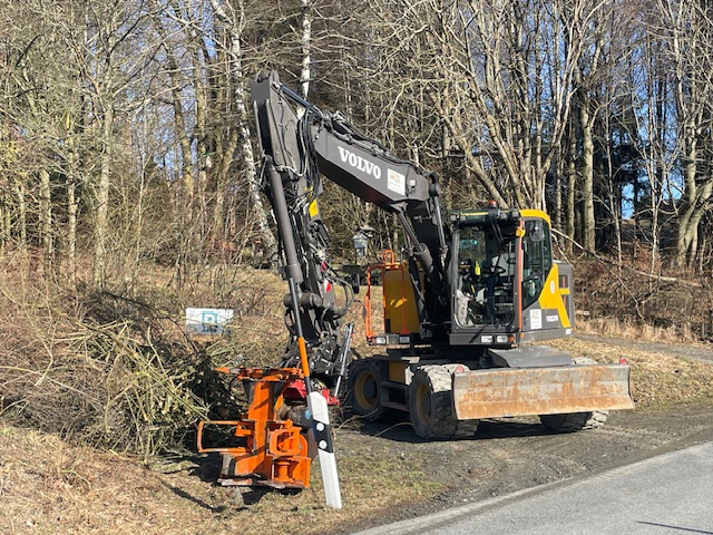 Portfolio Item IMG_0800