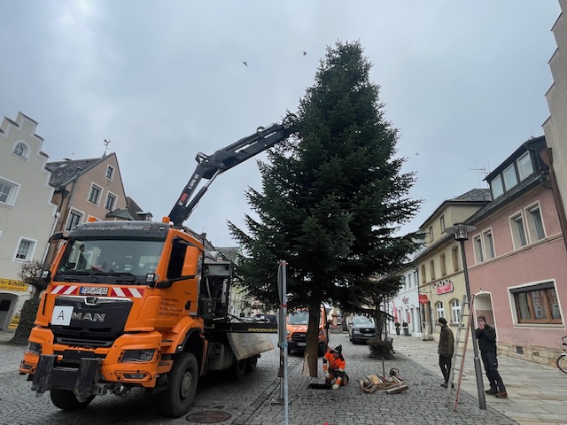 Portfolio Item IMG_9353